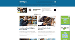 Desktop Screenshot of netmola.com